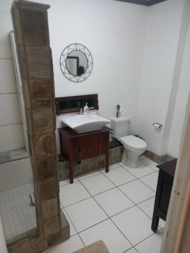 a bathroom with a sink and a toilet at Geckos B&B and Self-catering in Coffee Bay