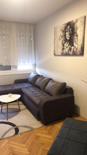 a living room with a couch and a table at Apartman Čelarevo centar in Čelarevo