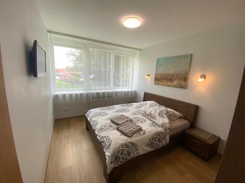 a small bedroom with a bed and a window at Apartment Pusynas in Nida