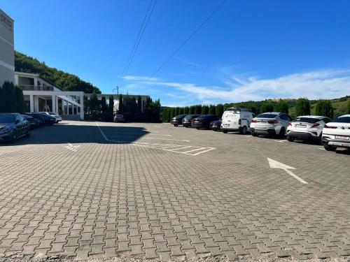 Fotografie z fotogalerie ubytování Premier Resort v destinaci Vîlcele