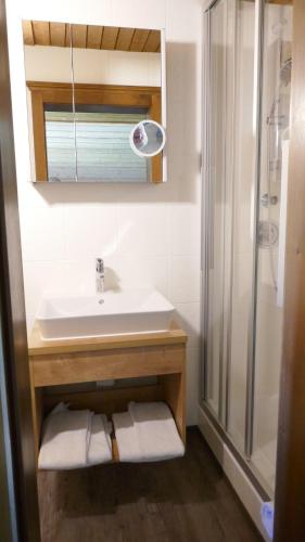 a bathroom with a sink and a shower at Quartier Severin in Berwang