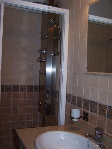 a bathroom with a shower and a sink at Pago de Trascasas in Cubillas de Santa Marta