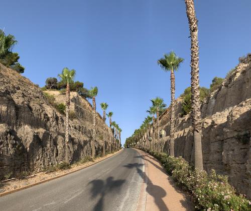 une rue bordée de palmiers dans l'établissement Las Colinas Golf - Naranjo 60 Penthouse, à Orihuela Costa