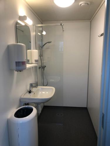 a bathroom with a shower and a sink and a toilet at Unique cabin Sikringsbua in Sirdal in Tjørhom