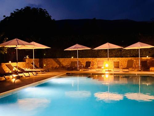 a large swimming pool with umbrellas and chairs at Mas des Olives in Bédoin