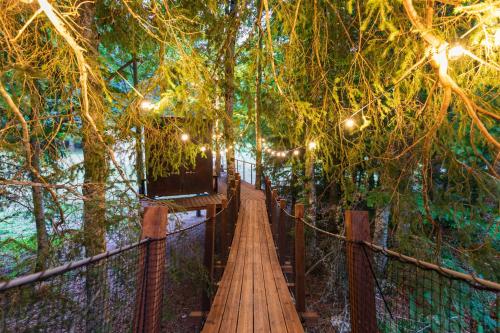 uma ponte suspensa de madeira numa floresta com luzes em Cabane perchée La Résilience sur le plateau du Vercors em Autrans