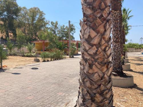 a palm tree is standing next to a street at Cala San Giorgio Residence in Sciacca