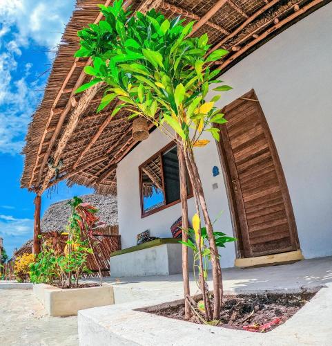 Giardino di Ananda Beach Hotel