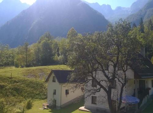 a house in a field with mountains in the background at Apartment Pretner, Lepena in Soča