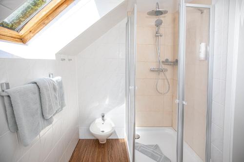 a bathroom with a shower and a toilet at Hotel Schlösschen Sundische Wiese Zingst in Zingst