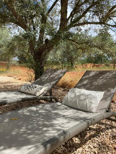 Κήπος έξω από το Algarve Olive Tree Lodge
