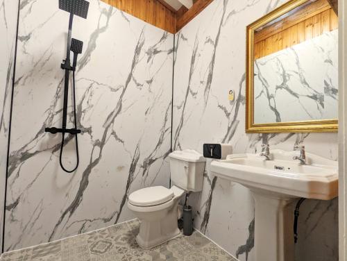 a bathroom with a toilet and a sink and a mirror at Kaoglen Apollo-Hot tub-Cairngorms-Pet friendly in Balnald