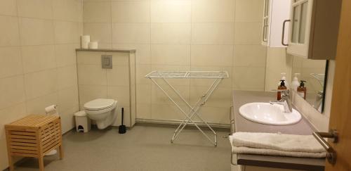 a small bathroom with a sink and a toilet at Ljósavatn Guesthouse in Kiðagil