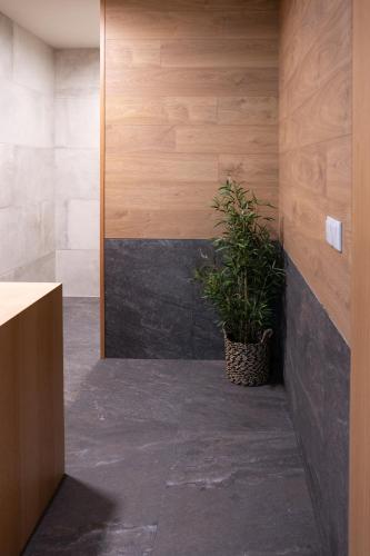 a potted plant sitting on the floor of a room at Borralha Hotel, Restaurante & Spa in Vila Real