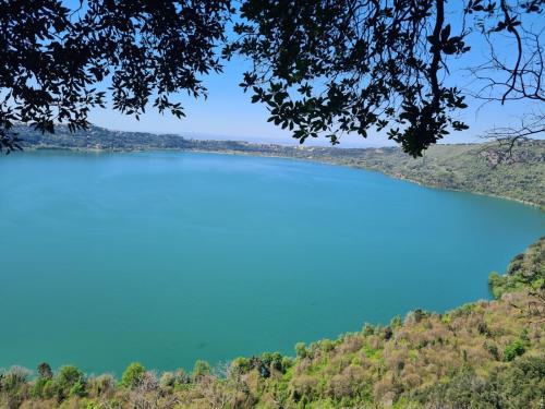 a view of a lake from a tree at Casa Vacanze Giulienso in Ardea