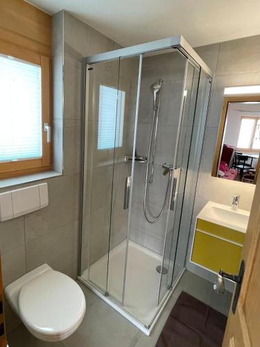 a bathroom with a shower and a toilet and a sink at Mischabelblick, Fiescheralp in Fiesch