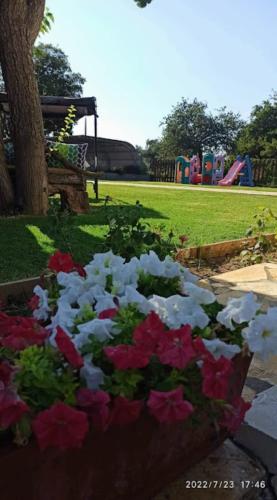 Irini's country house