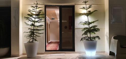 two potted plants in a hallway with a mirror at IBIRIS in Oran