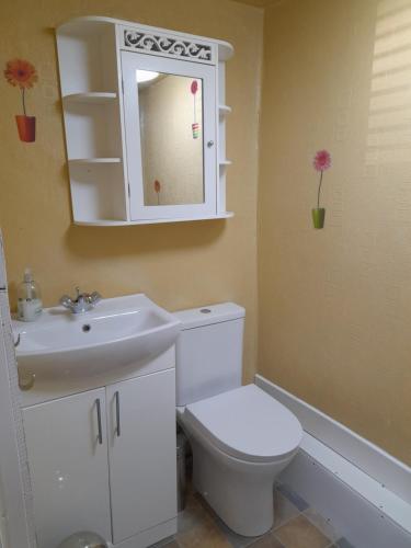a bathroom with a toilet and a sink and a mirror at Globe Guesthouse in Burry Port