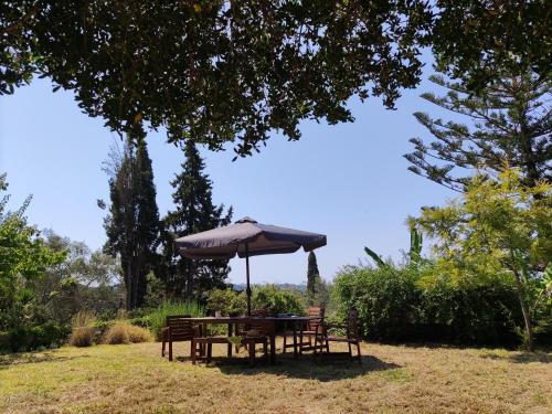 Gambar di galeri bagi Olive Hill House di Vragkaniótika