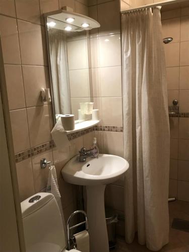 La salle de bains est pourvue d'un lavabo, de toilettes et d'un miroir. dans l'établissement Anikos, à Uppsala