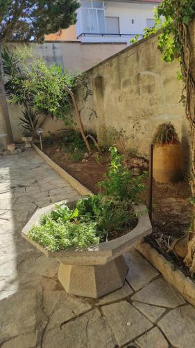Κήπος έξω από το Casa Salento