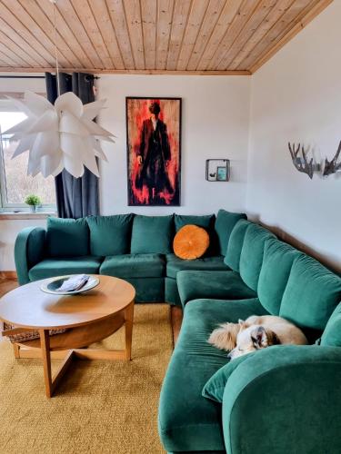 a dog laying on a couch in a living room at Stóraborg Holiday Home in Storaborg