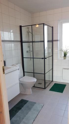 Koupelna v ubytování Stóraborg Holiday Home