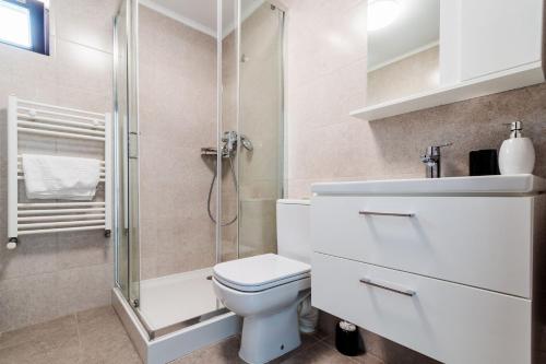 a bathroom with a toilet and a shower at Agropensiunea Andrei & Ianis in Dăeşti