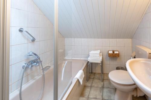 a bathroom with a shower and a toilet and a sink at Oberhausener Ferienwohnung in Oberhausen