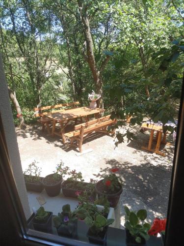 a view of a patio with a picnic table and potted plants at Vila Bella Mia in Timotijevići