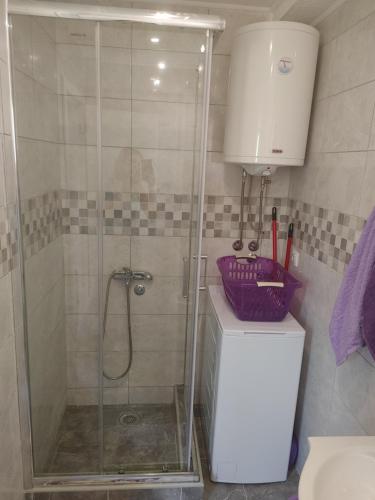 a shower with a glass door in a bathroom at Vila Bella Mia in Timotijevići
