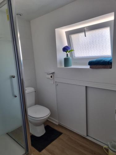 a white bathroom with a toilet and a window at Maison de ville Ty Richarzh, 2 chambres, 4 personnes in Plouharnel
