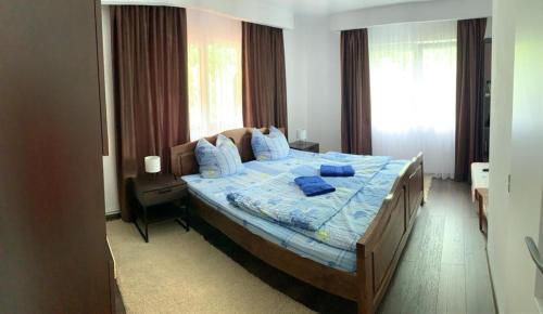 a bedroom with a large bed with blue pillows at Pensiunea Grapini in Şanţ