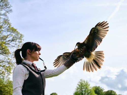 a woman is holding a bird on her hand at Lyrath Estate in Kilkenny