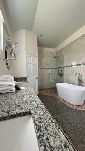 a bathroom with a large white tub and a shower at Stonetrail in Arnos Vale