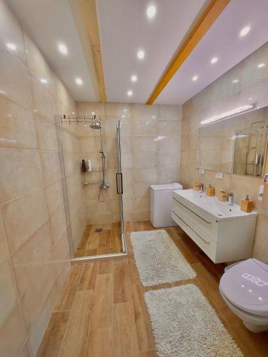 a bathroom with a shower and a sink and a toilet at Villa Butterfly Valdanos in Ulcinj