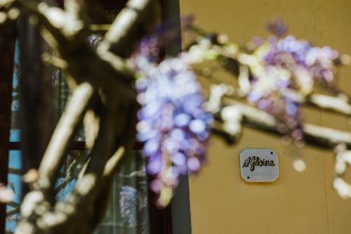 Φωτογραφία από το άλμπουμ του Agriturismo Montalbino σε Montespertoli