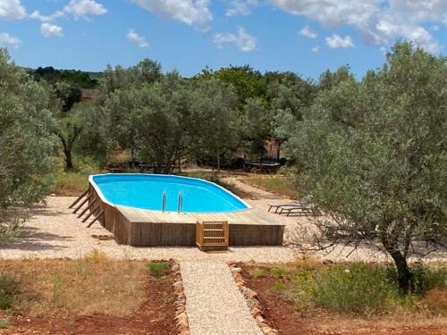 una piscina en medio de un campo en Algarve Olive Tree Lodge en Nora