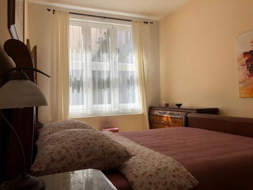 1 dormitorio con cama y ventana en Cozy apartment in the city centre en Olomouc