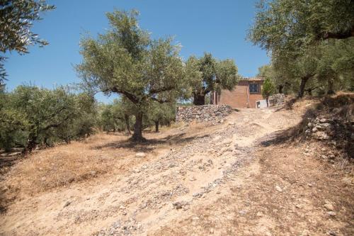 a dirt road with trees and a house in the background at Little country hut 'Mikri Eleni' in Akrogiali