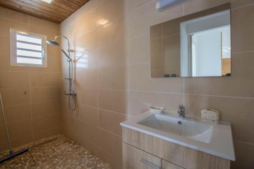 ein Badezimmer mit Waschbecken und Spiegel in der Unterkunft GIGITE COCO in Saint-Joseph
