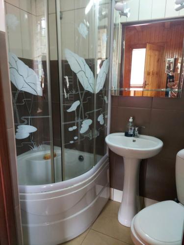 a bathroom with a shower and a toilet and a sink at Pensiune Casa Barcaru in Azuga