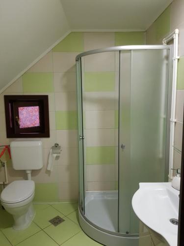 a bathroom with a shower and a toilet and a sink at Pensiunea Daria Putna in Putna