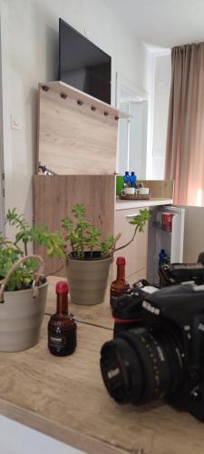 a camera and potted plants on a table at Forest Apartments in Bitola