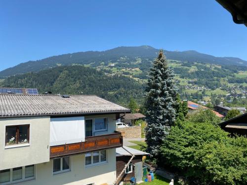 a view of a house and a pine tree at Ferienwohnung Alpennestchen Tschagguns in Tschagguns