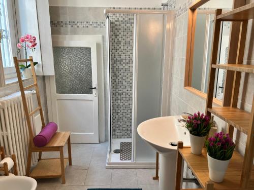 a bathroom with a shower and a white sink at Bnbook Cascina Crennese in Gallarate