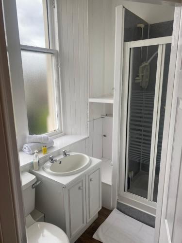 a bathroom with a sink and a toilet and a window at Ellwyn House in Edinburgh