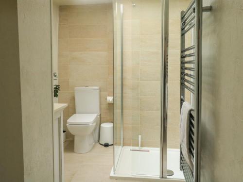 a bathroom with a toilet and a glass shower at Hope Cottage in Buckfastleigh