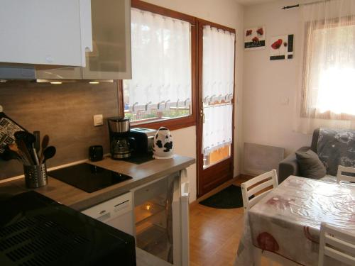 une cuisine avec un évier et un plan de travail dans l'établissement Appartement cosy à Dévoluy avec vue sur la montagne, 26 m²., à Saint-Étienne-en-Dévoluy